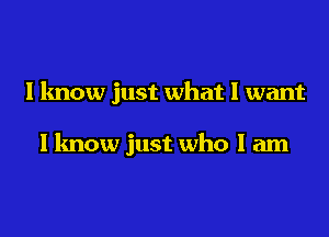 I know just what I want

I know just who I am