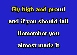 Fly high and proud
and if you should fall
Remember you

almost made it