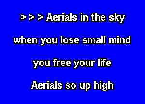 o o o Aerials in the sky

when you lose small mind

you free your life

Aerials so up high