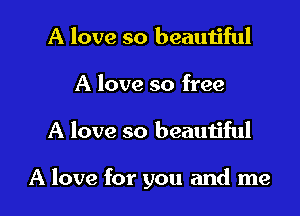 A love so beautiful
A love so free

A love so beautiful

A love for you and me