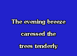 The evening breeze

caressed the

trees tenderly