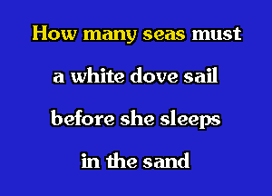 How many seas must
a white dove sail

before she sleeps

in the sand I