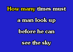 How many times must
a man look up

before he can

see the sky