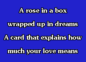 A rose in a box
wrapped up in dreams
A card that explains how

much your love means