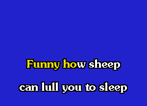 Funny how sheep

can lull you to sleep