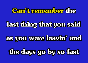 Can't remember the
last thing that you said
as you were leavin' and

the days go by so fast