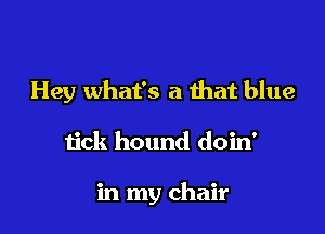 Hey what's a ihat blue

tick hound doin'

in my chair