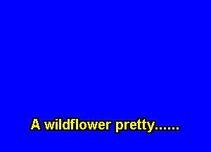A wildflower pretty ......