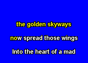 the golden skyways

now spread those wings

Into the heart of a mad