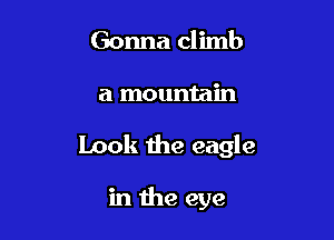Gonna climb

a mountain

Look the eagle

in the eye
