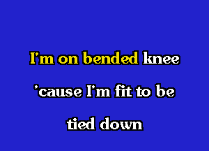 Fm on bended knee

'cause I'm fit to be

tied down