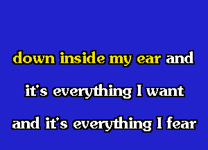 down inside my ear and
it's everything I want

and it's everything I fear