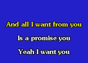 And all I want from you

Is a promise you

Yeah I want you