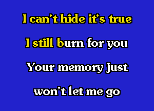I can't hide it's true

lstill burn for you

Your memory just

won't let me go