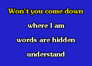 Won't you come down

where I am
words are hidden

understand