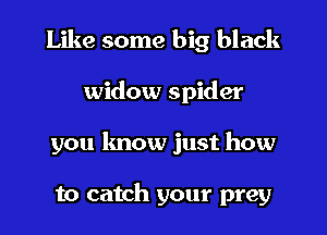 Like some big black
widow spider
you know just how

to catch your prey
