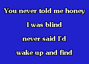 You never told me honey
I was blind

never said I'd

wake up and find