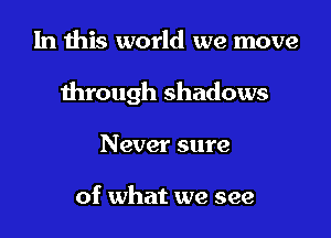 In this world we move

through shadows

Never sure

of what we see