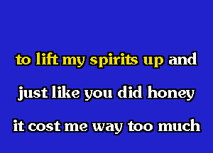 to lift my spirits up and
just like you did honey

it cost me way too much