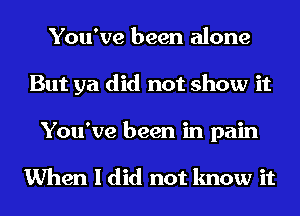 You've been alone
But ya did not show it
You've been in pain

When I did not know it