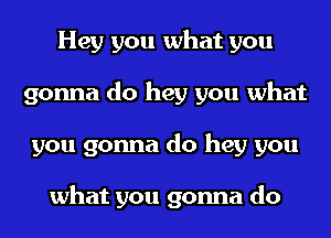 Hey you what you
gonna do hey you what
you gonna do hey you

what you gonna do