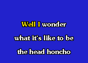 Well I wonder

what it's like to be

the head honcho