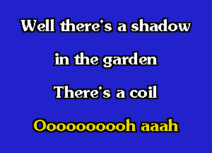 Well there's a shadow

in the garden

There's a coil

Oooooooooh aaah