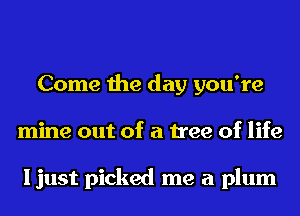 Come the day you're
mine out of a tree of life

ljust picked me a plum