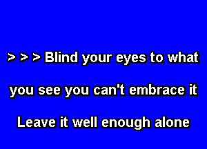 Blind your eyes to what

you see you can't embrace it

Leave it well enough alone