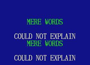 MERE WORDS

COULD NOT EXPLAIN
MERE NORDS

COULD NOT EXPLAIN l