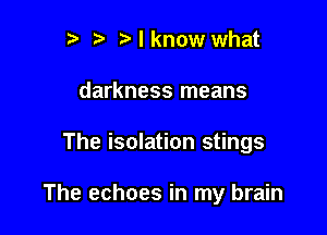 r t' Nknow what
darkness means

The isolation stings

The echoes in my brain