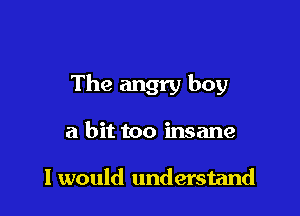 The angry boy

a bit too insane

I would understand