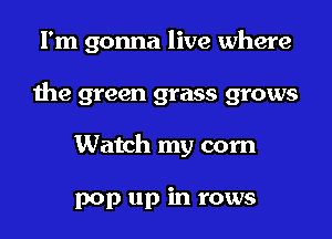 I'm gonna live where

the green grass grows

Watch my com

pop up in rows