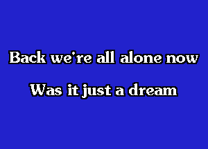 Back we're all alone now

Was it just a dream