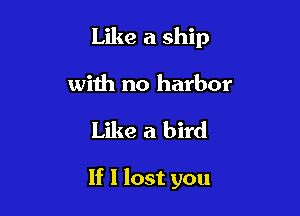 Like a ship
with no harbor

Like a bird

If I lost you