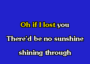 Oh if 1 lost you

There'd be no sunshine

shining through