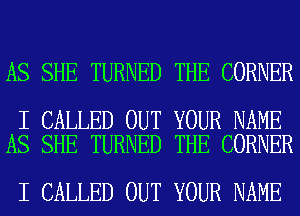 AS SHE TURNED THE CORNER

I CALLED OUT YOUR NAME
AS SHE TURNED THE CORNER

I CALLED OUT YOUR NAME