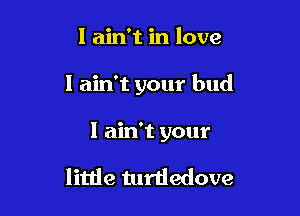 I ain't in love

I ain't your bud

I ain t your

little turtledove