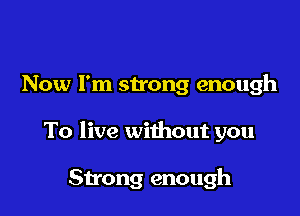 Now I'm strong enough

To live without you

Strong enough