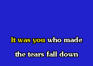 It was you who made

1119 tears fall down