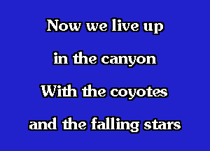 Now we live up
in the canyon

With the coyotas

and the falling stars