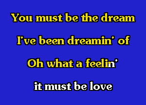 You must be the dream
I've been dreamin' of
Oh what a feelin'

it must be love