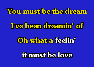 You must be the dream
I've been dreamin' of
Oh what a feelin'

it must be love