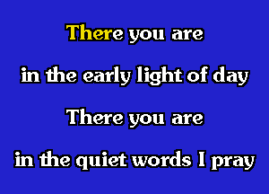 There you are
in the early light of day
There you are

in the quiet words I pray