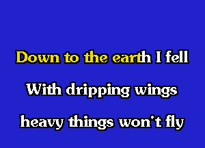 Down to the earth I fell
With dripping wings

heavy things won't fly