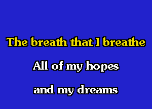 The breath that I breathe

All of my hopes

and my dreams