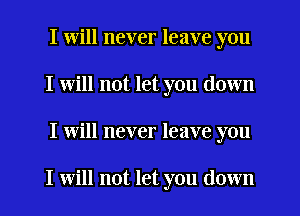 I will never leave you
I will not let you down
I will never leave you

I will not let you down