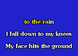to the rain
I fall down to my knees

My face hits the ground