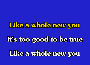 Like a whole new you
It's too good to be true

Like a whole new you