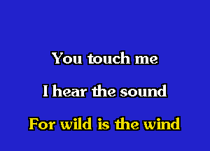 You touch me

I hear the sound

For wild is the wind